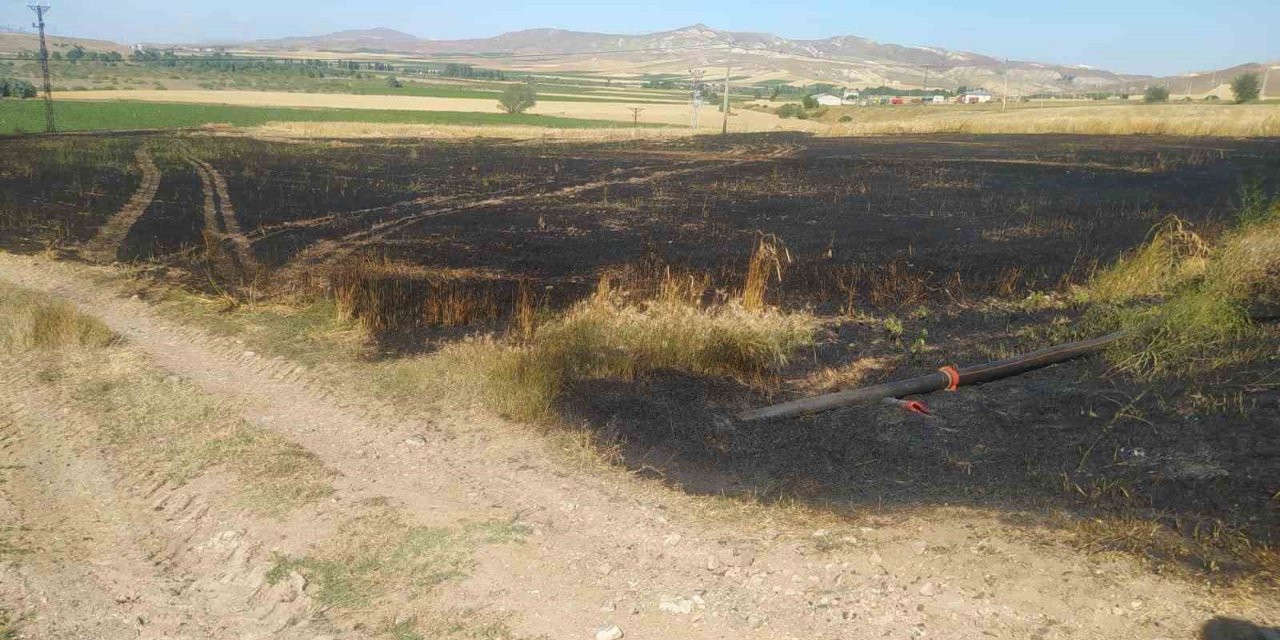 Sivas’ta tarla yangınında 50 dönüm ekili alan kül oldu