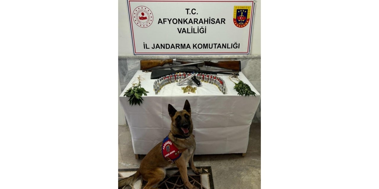 Jandarma silah ve kenevir ele geçirdi