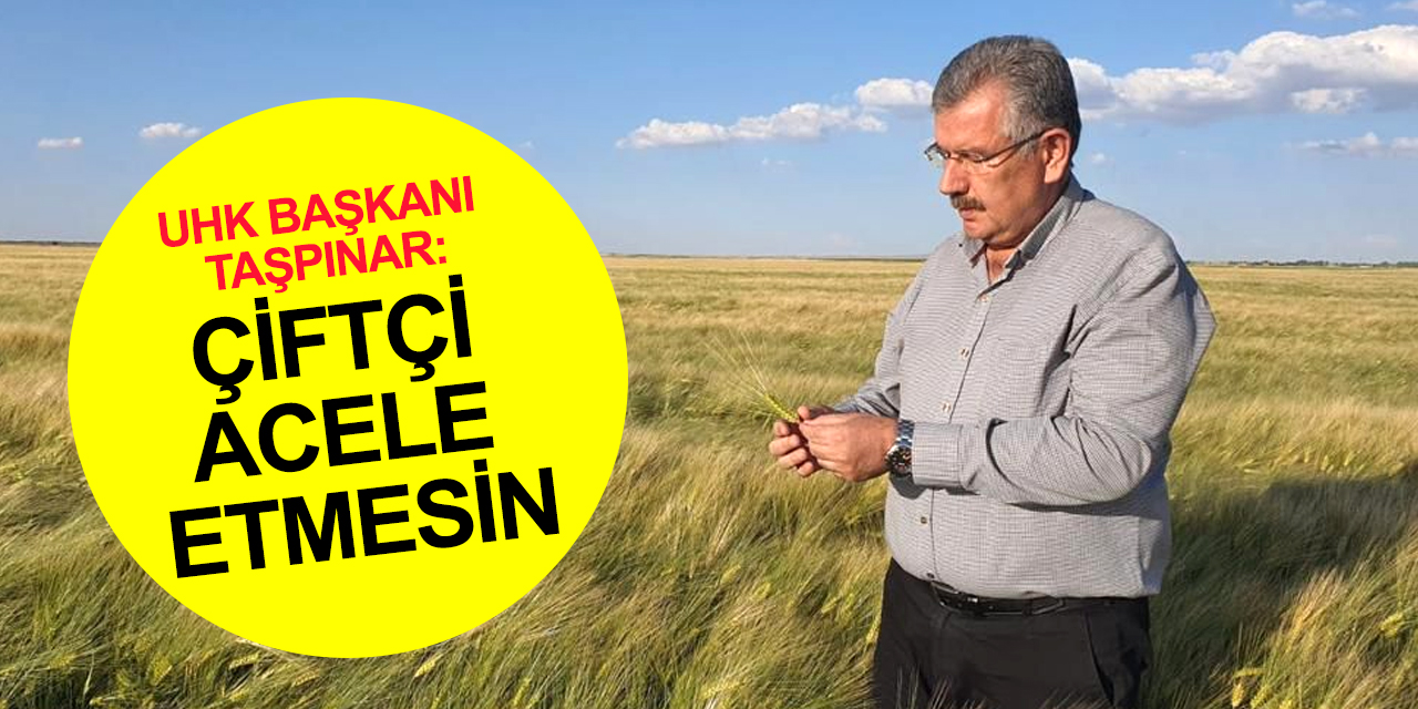 Ulusal Hububat Konseyi'nden çiftçiye önemli uyarı: Ürününüzü satmak için acele etmeyin