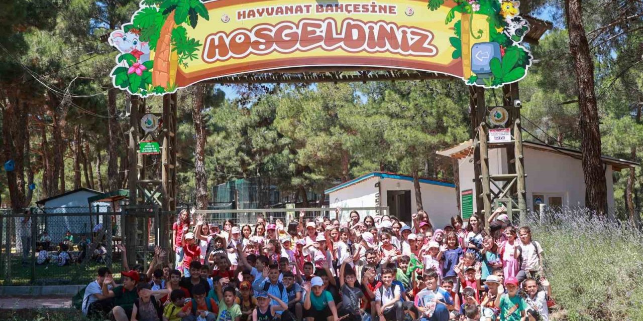 Yaz okulu öğrencileri hayvanat bahçesini gezdi