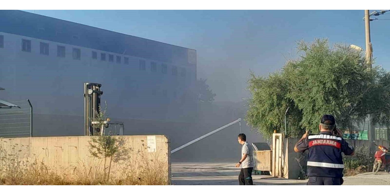 Lojistik firmasındaki yangın devam ediyor