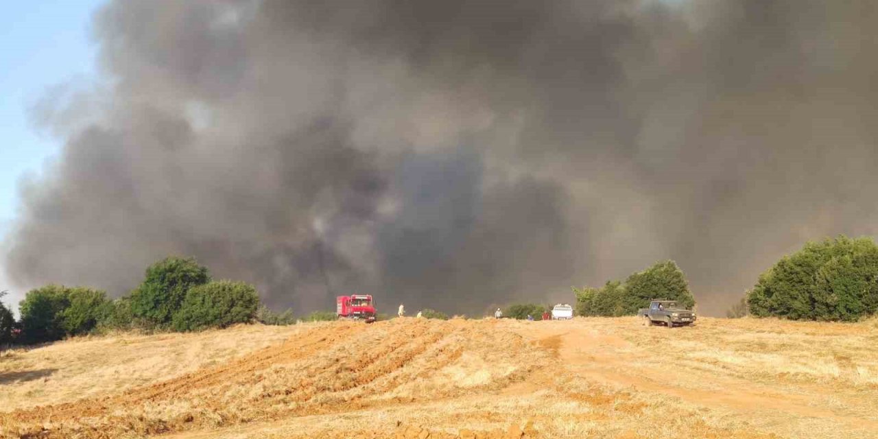 Tekirdağ’daki orman yangını yerleşim yerlerini tehdit ediyor