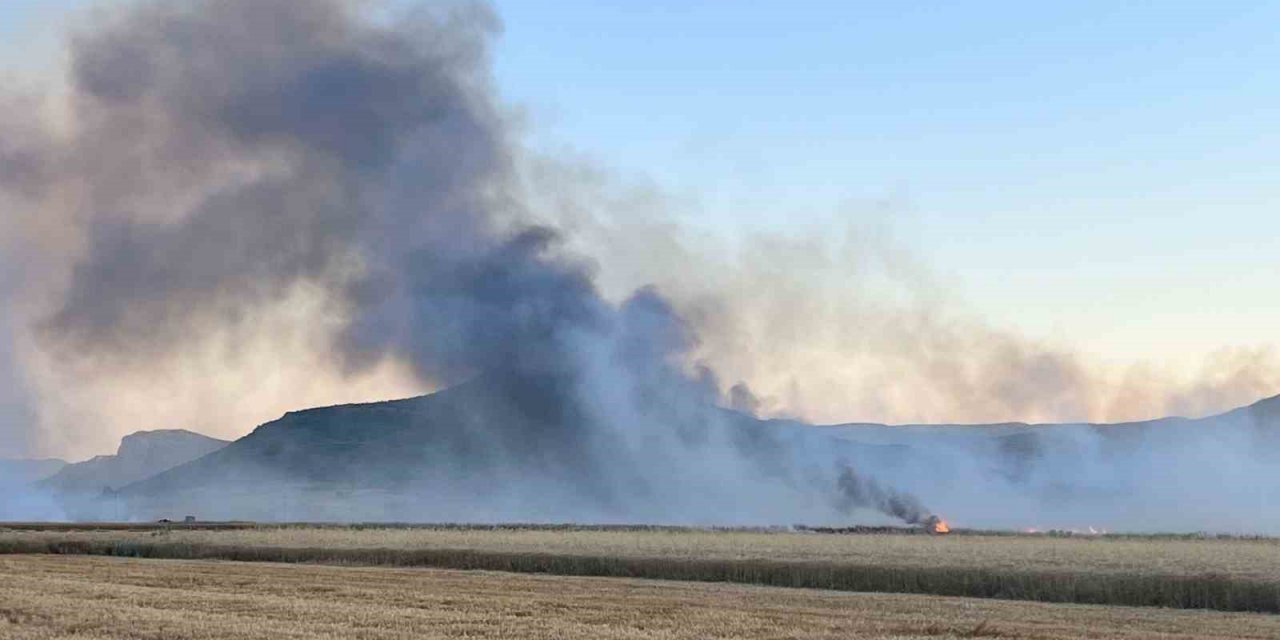 Burdur’da 300 dekarlık tarım arazisi ve saman balyaları küle döndü