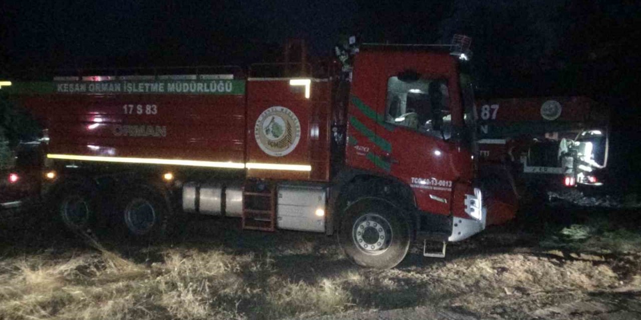 Çanakkale’deki orman yangınına gece de havadan ve karadan müdahale ediliyor