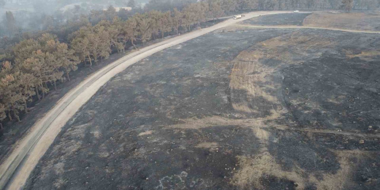 Çanakkale’deki orman yangınına 38. saatte ekipler müdahale etmeye devam ediyor