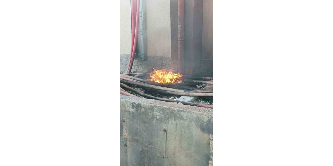 Dicle Elektrik, yatırımı durduran karara itiraz etti