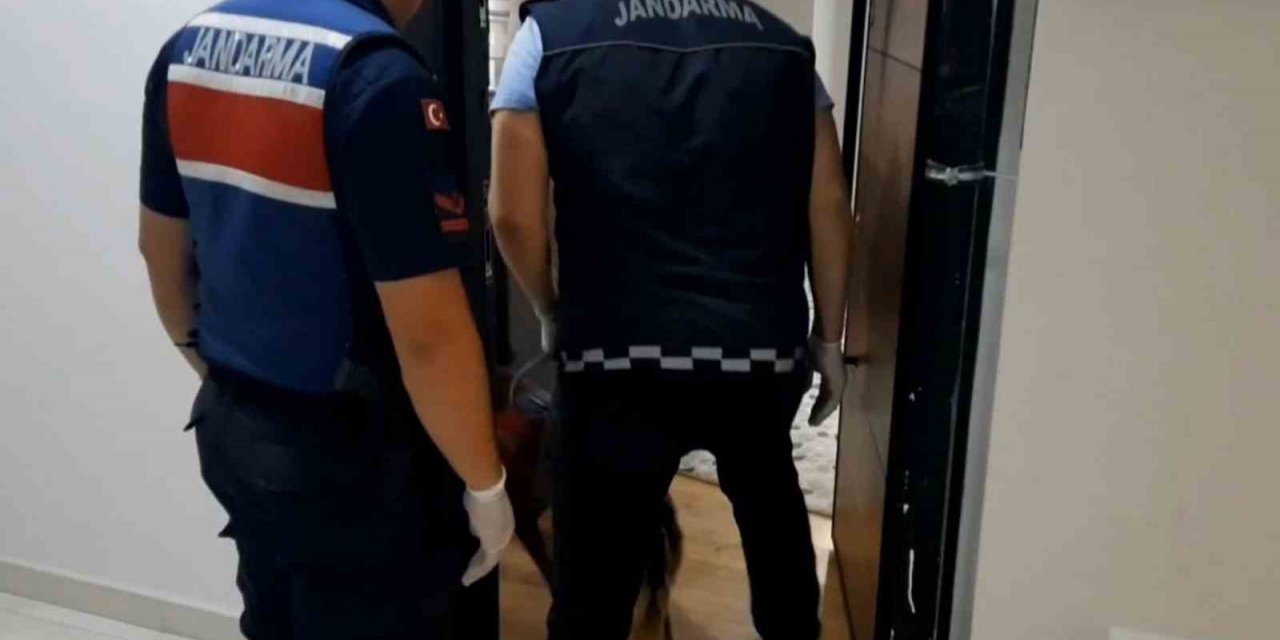 Uyuşturucu tacirine jandarma darbesi