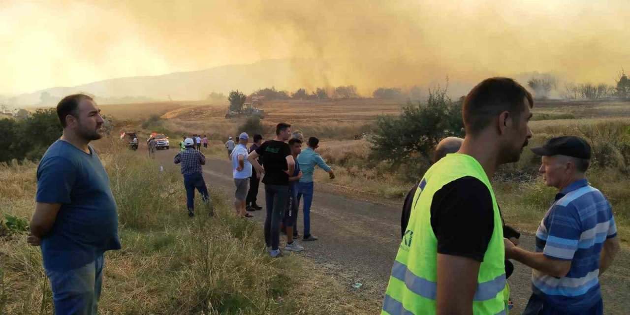 Tekirdağ’daki orman yangını balya makinasındaki kıvılcımla çıkmış