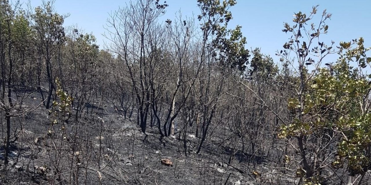 Diyarbakır’da 18 saattir devam eden yangın kontrol altına alındı