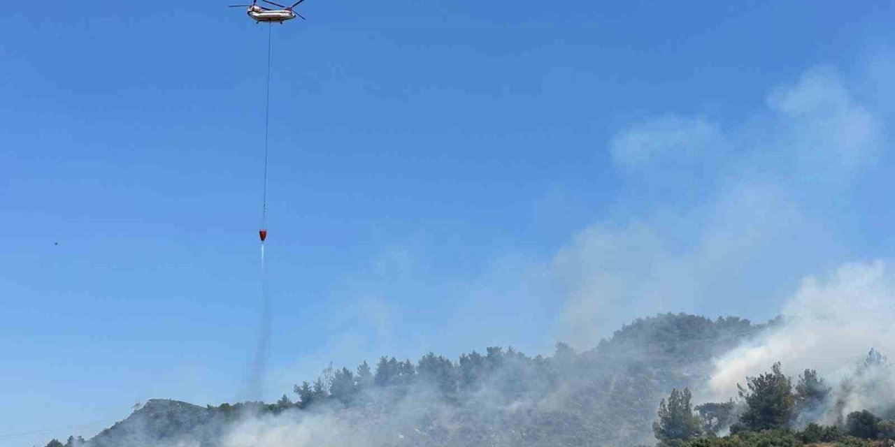 İzmir’de zeytinlikte çıkan yangına havadan ve karadan müdahale
