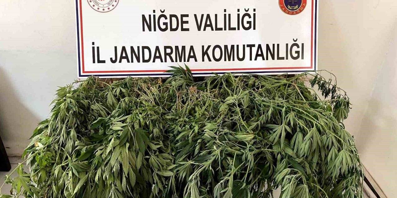 Uyuşturucu operasyonunda 2 kişi gözaltına alındı