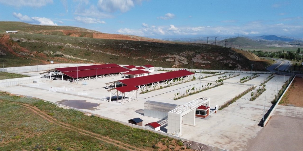 Canlı Hayvan Pazarı ve Ot Borsası, Sivas hayvancılığına kazandırıldı
