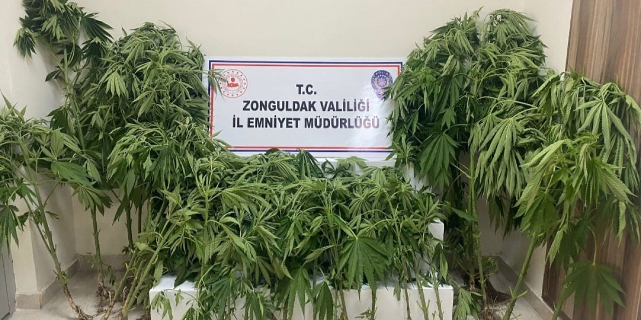 Zonguldak’ta uyuşturucu operasyonu; 1 tutuklu