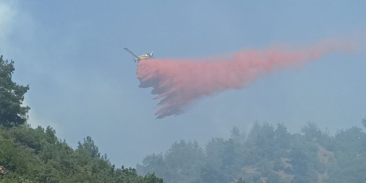 Çanakkale’de 3 gündür devam eden orman yangınına müdahale sürüyor