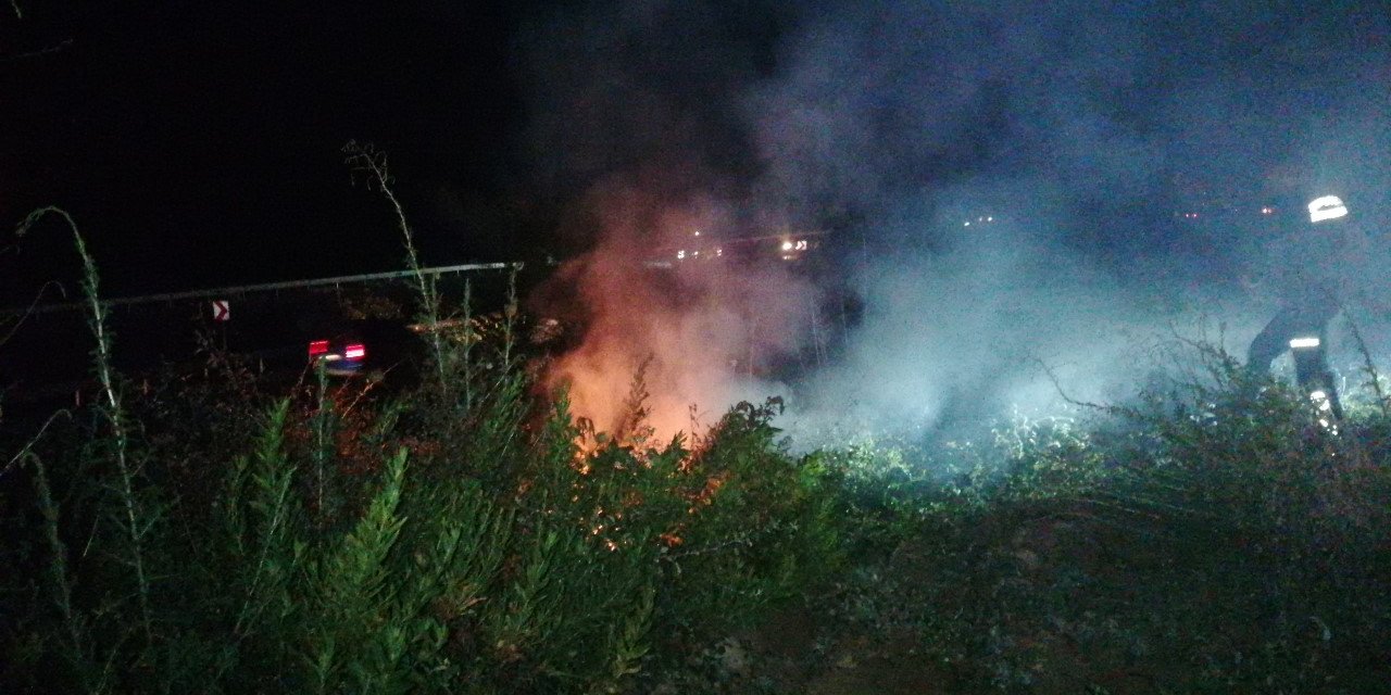 Karayolu yakınında çıkan çalılık yangını büyümeden söndürüldü