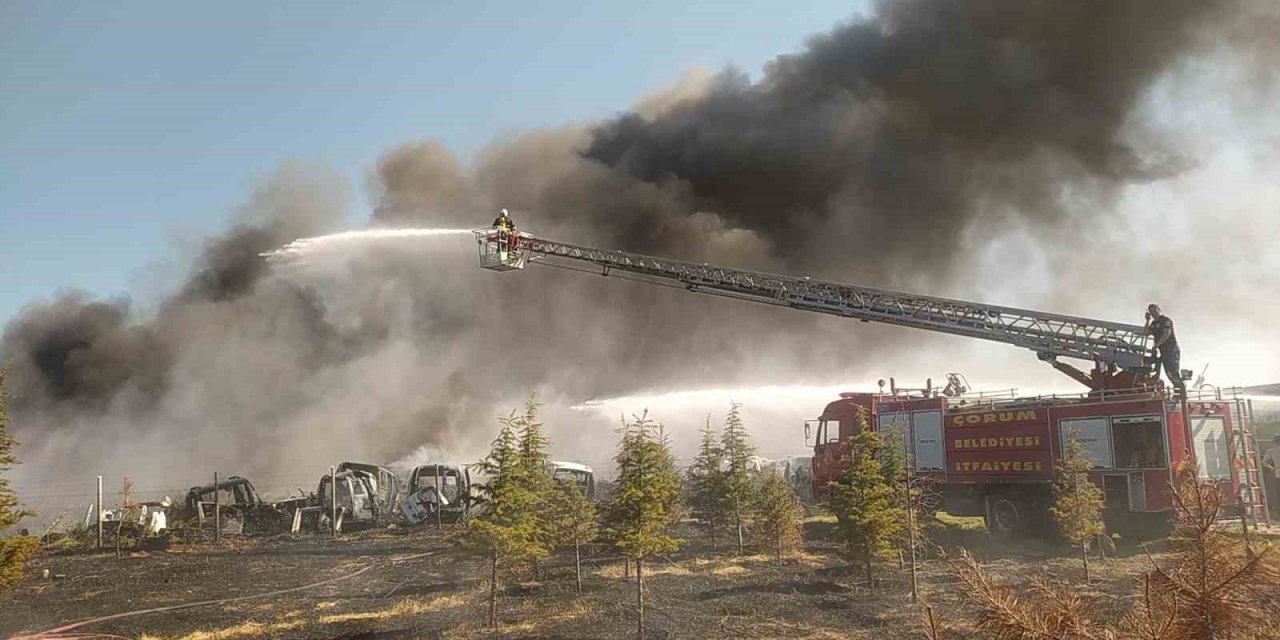 Anız yangını hurdalığa sıçradı, otomobiller küle döndü