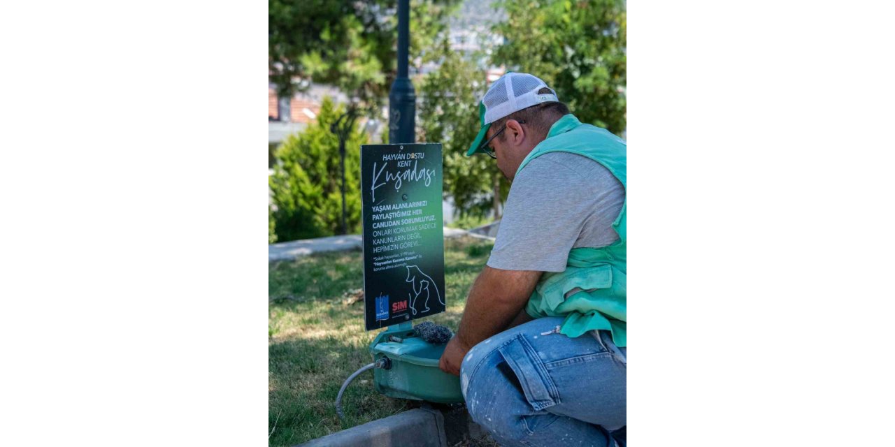 Kuşadası Belediyesi’nden sokak hayvanlarına su ve mama desteği
