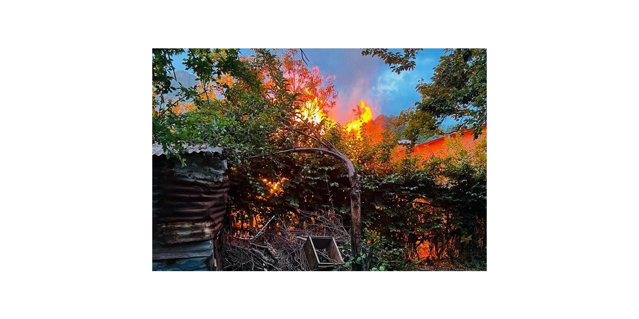 Hakkari’de korkutan yangın