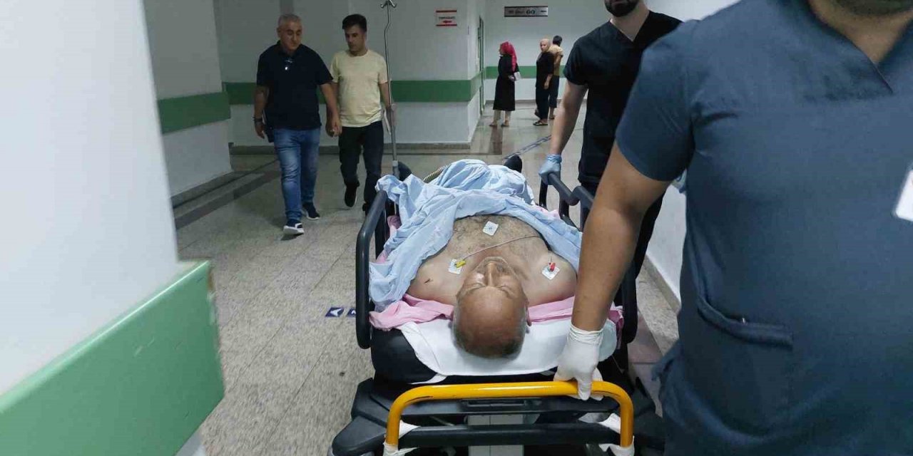 Sokak kedilerini kovduğu için bıçaklı saldırıda ağır yaralandı