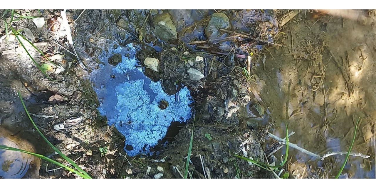 Bayburt’taki petrol sızıntılarını incelediler, petrolün yüzeye çıkarılması için çalışma başlatılmasını istediler