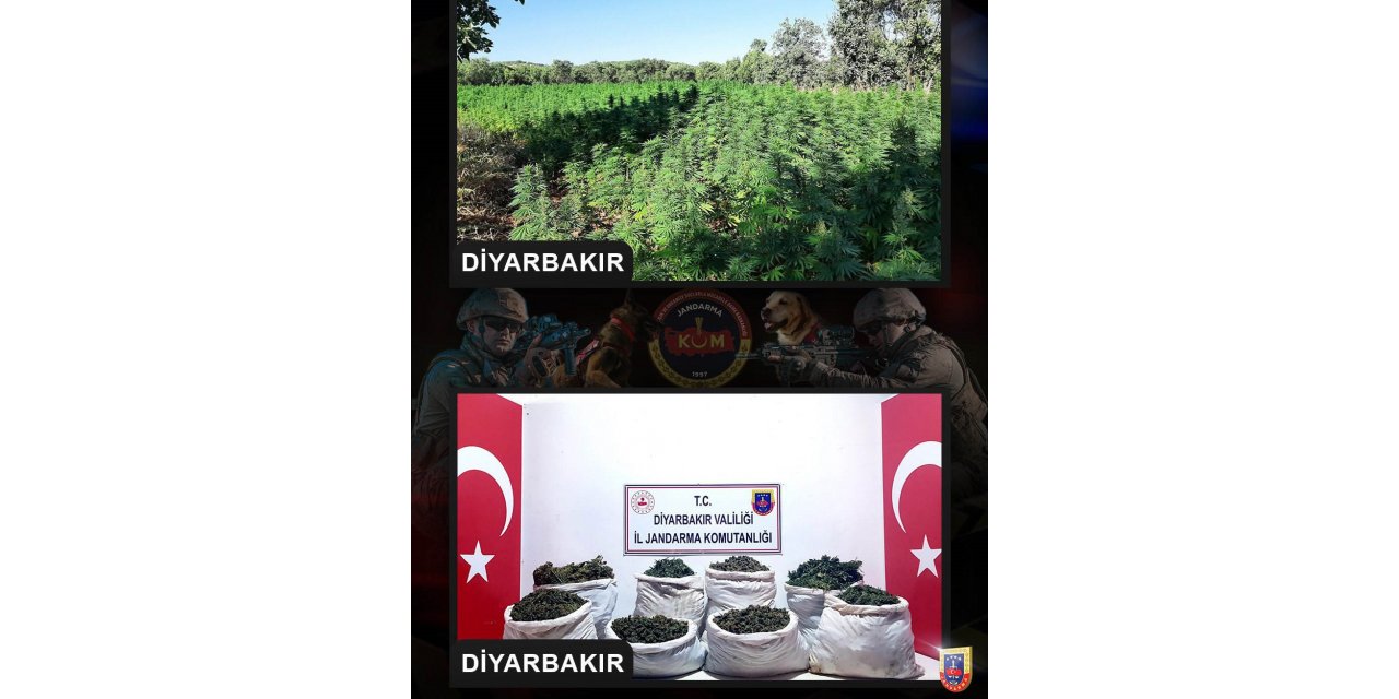 Diyarbakır’da milyonlarca kök kenevir, kilolarca kubar esrar ele geçirildi