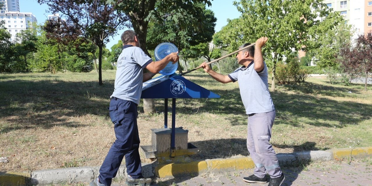 Küçükçekmece’de sokak hayvanları bunaltıcı sıcaklarda da yalnız bırakılmadı