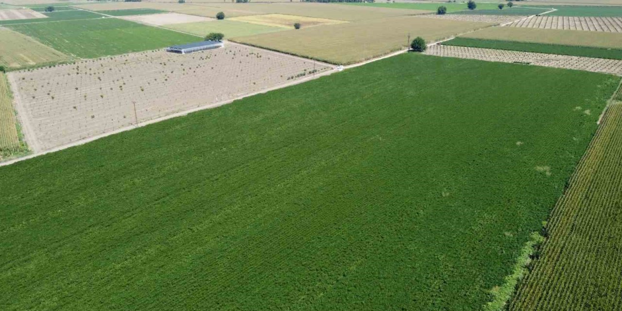 Otomasyon sulama sistemi ile devlet destekli soya üretimine başlandı