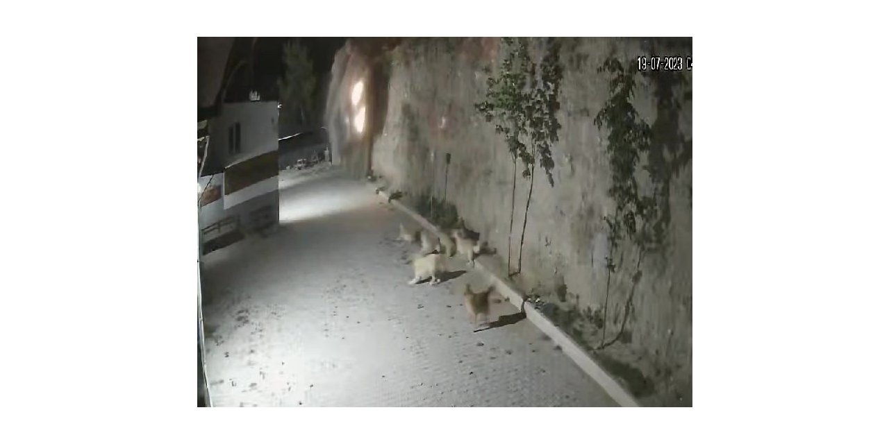 2 kişiye mezar olan otomobil uçurumdan böyle düştü