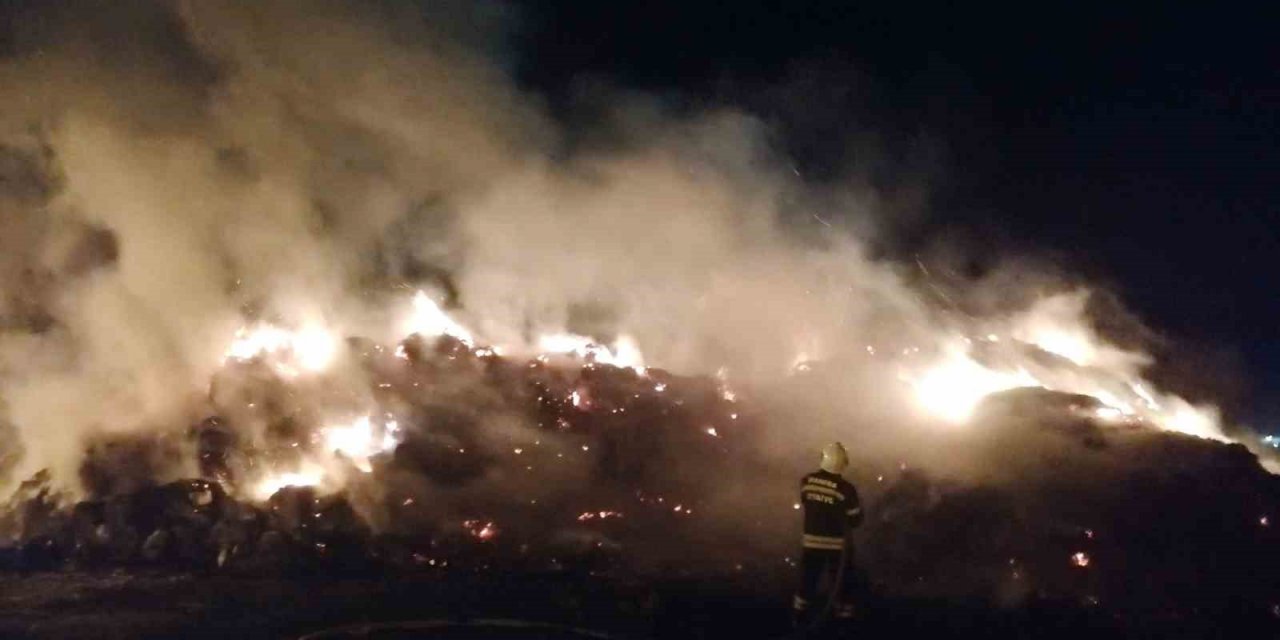 Manisa’da 15 bin balya saman kül oldu