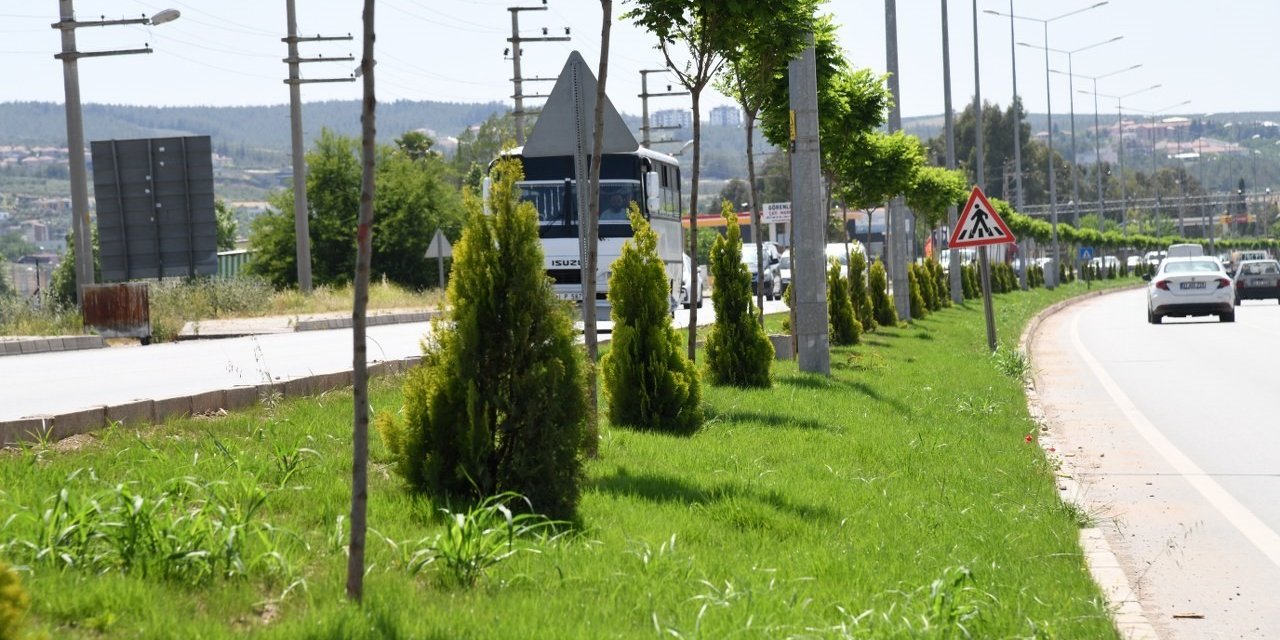 Osmaniye’nin giriş-çıkış güzergahı güzelleşiyor