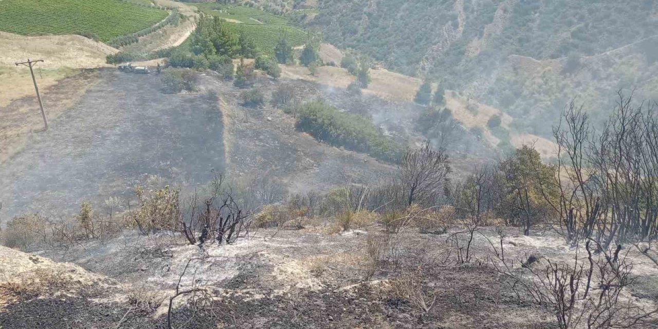 Manisa’da anız yangını makilik alana sıçradı