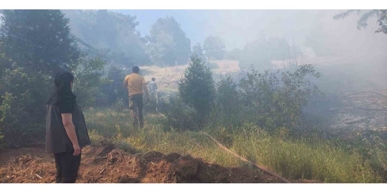 Kütahya’da çıkan orman yangını kontrol altına alındı