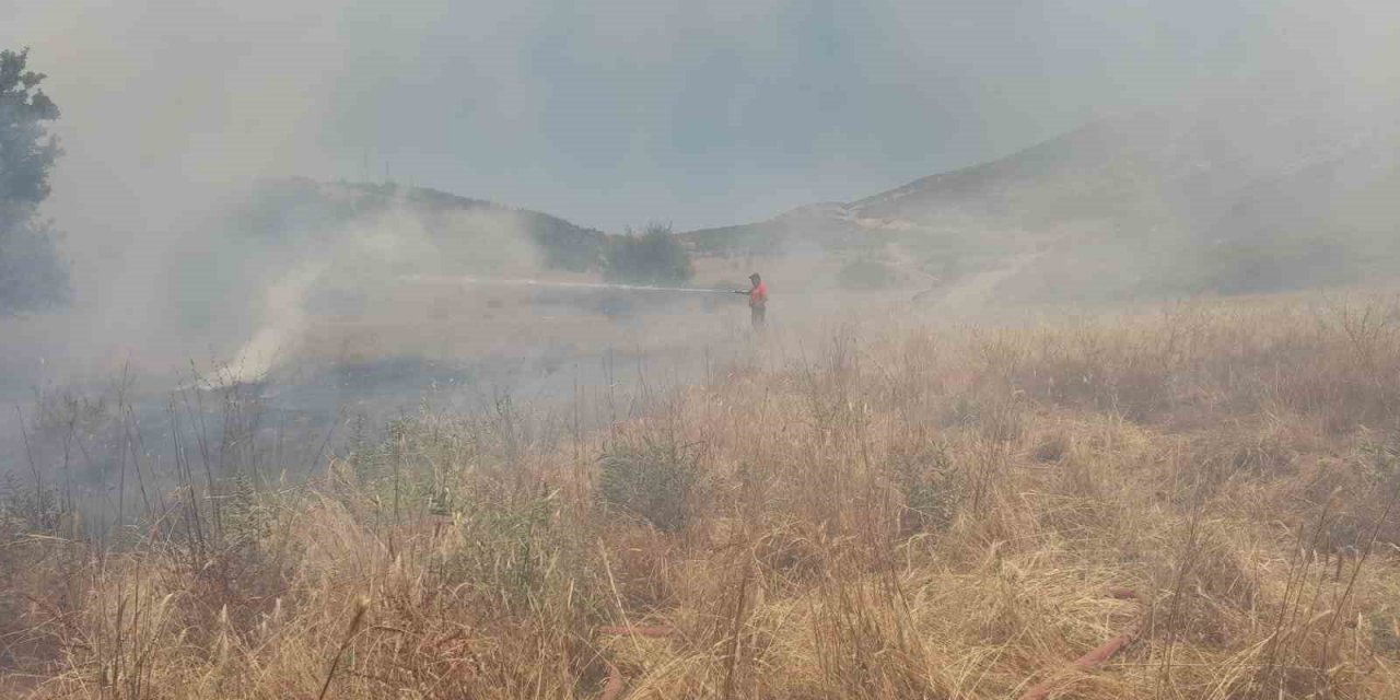 Arazide çıkan yangın ormanlık alana sıçramadan söndürüldü