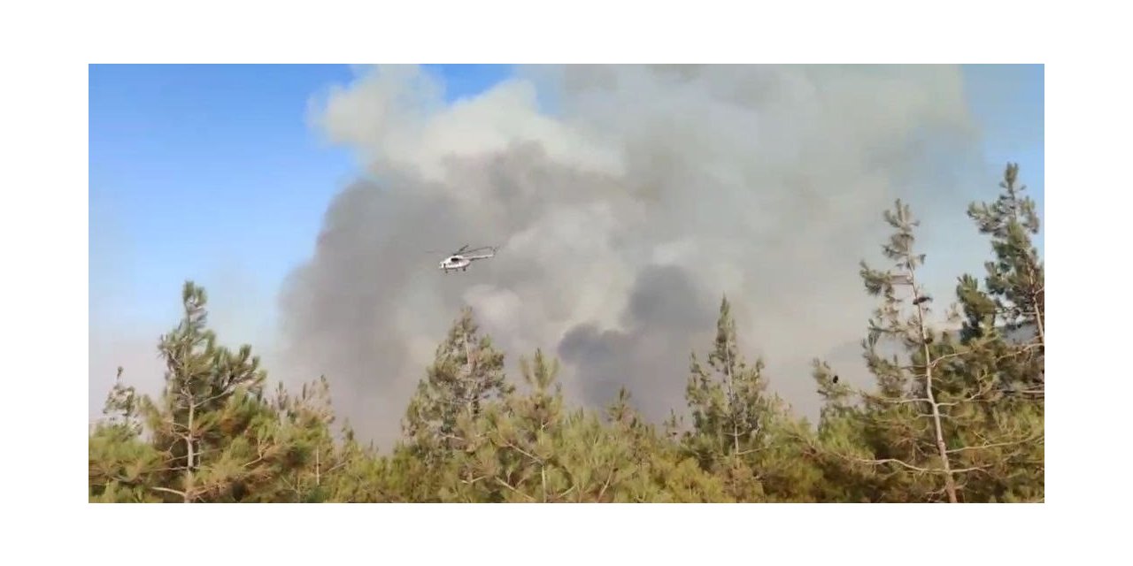 Gaziantep’te korkutan orman yangını