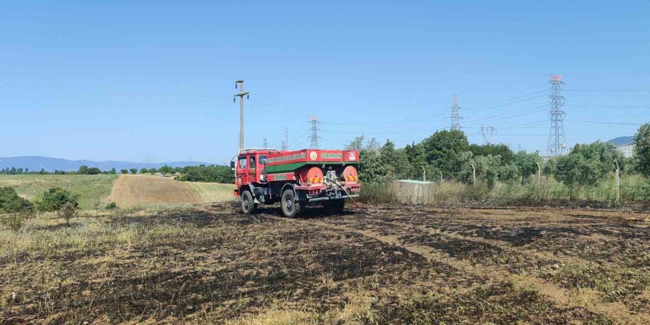 Tarla yangını büyümeden söndürüldü
