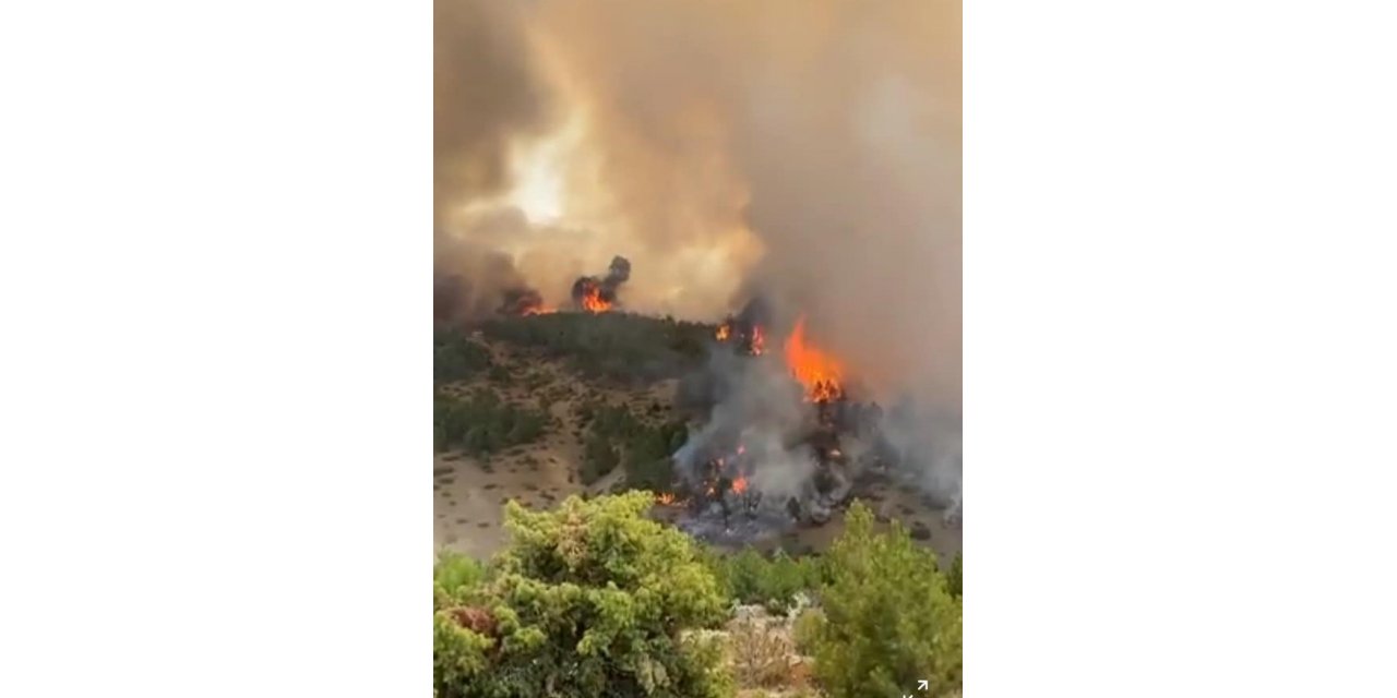 Honaz Dağında çıkan yangın büyümeden söndürüldü