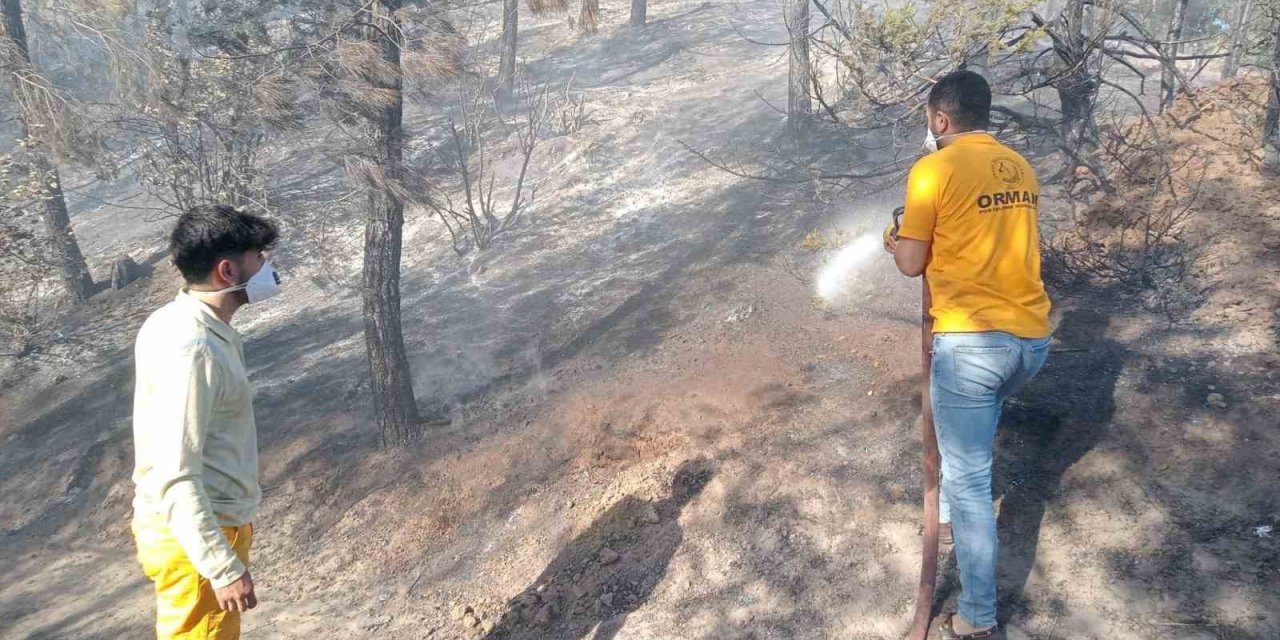 Adana’da orman yangını, büyümeden kontrol altına alındı