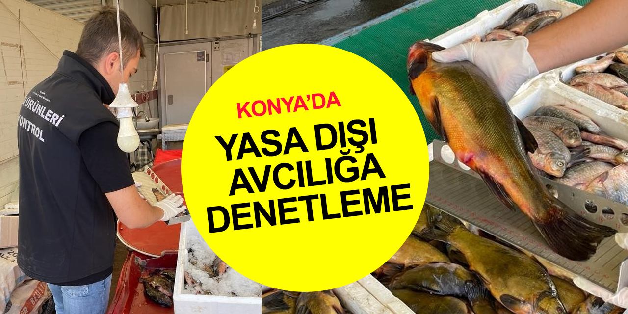 Konya Beyşehir’de yasa dışı avcılık denetleniyor