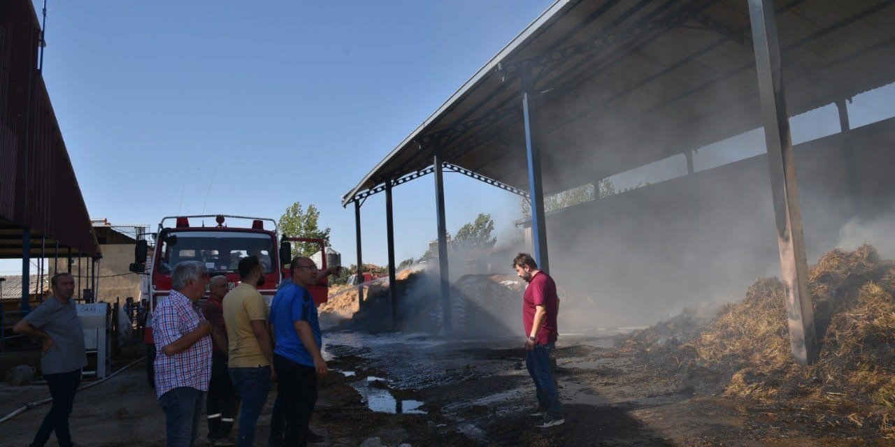 Hayvan çiftliğindeki saman yangını korkuttu