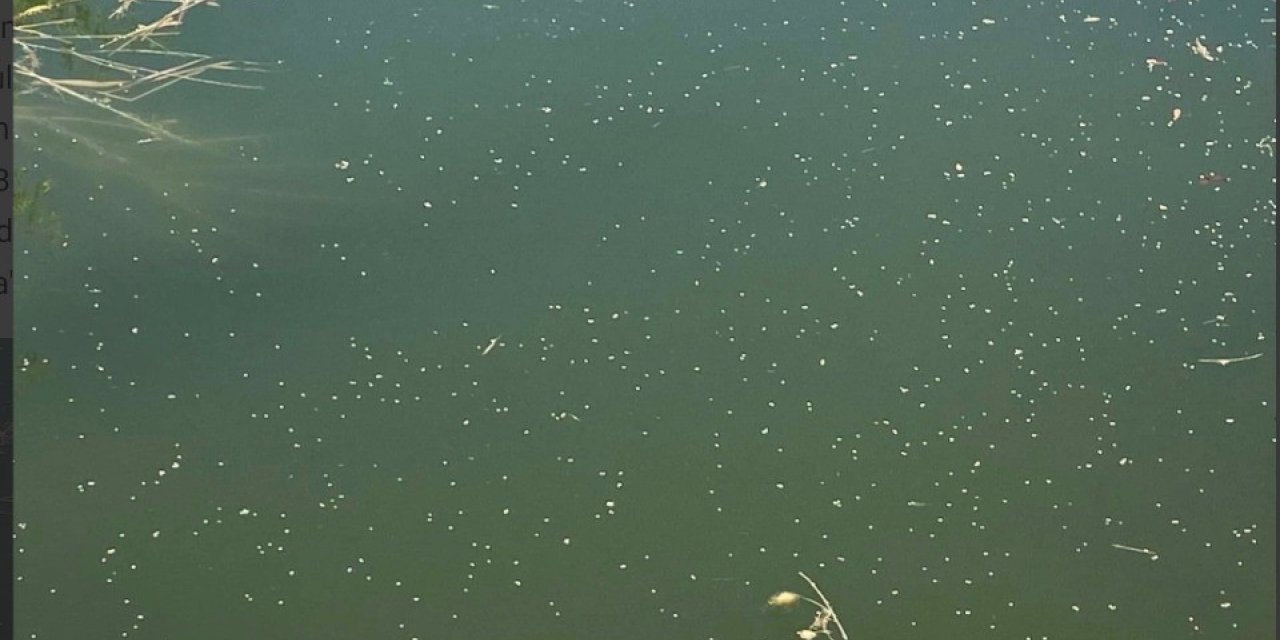 Sivrisineklere drone ile havadan çözüm