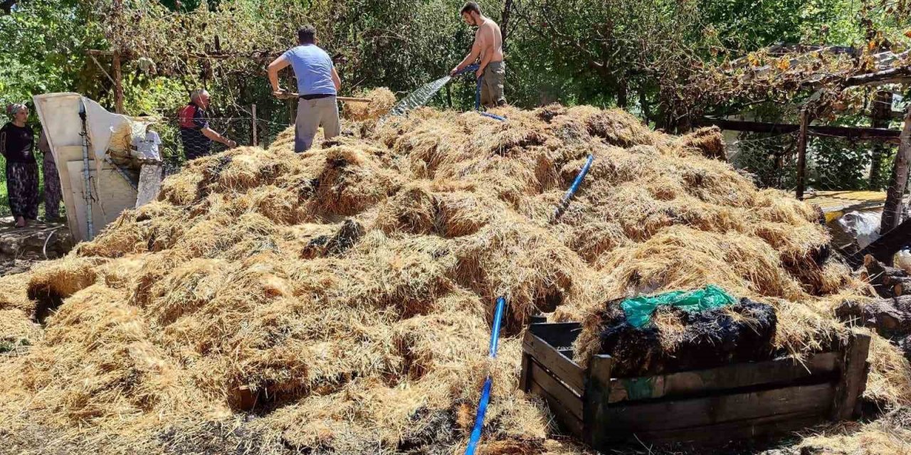 Amasya’da yangında saman balyaları küle döndü