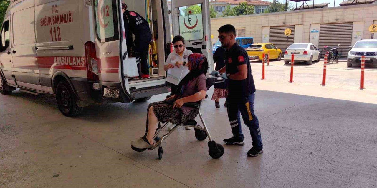 Bursa’da yaşlı kadına köpek saldırdı