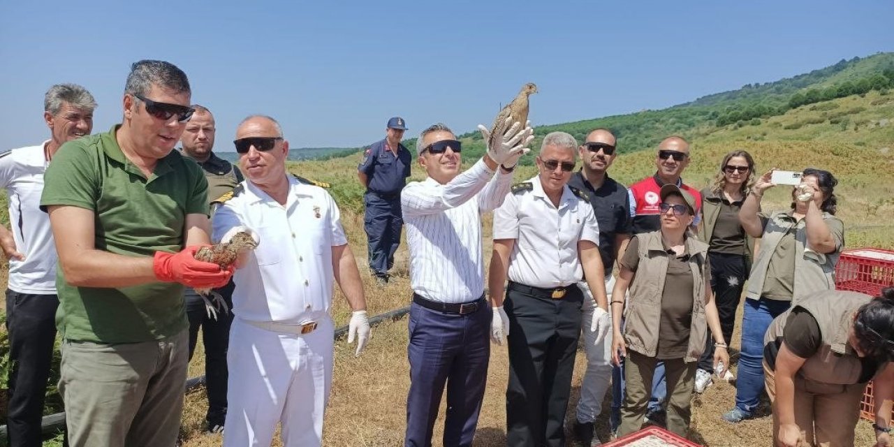 Erdek’te 350 sülün ve keklik doğayla buluştu