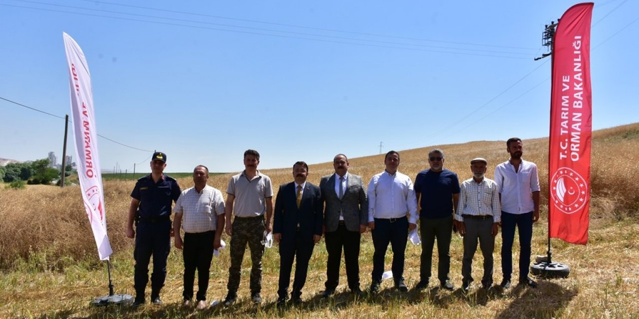 İnönü’de üretimine başlanan kanolada ilk hasat sevinci