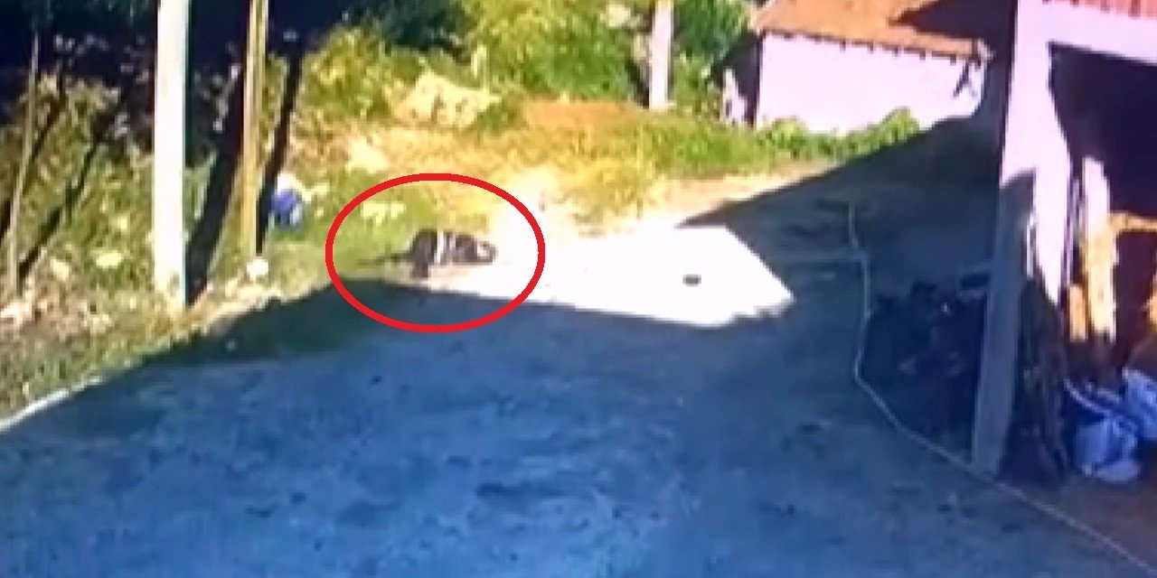 1 kişinin hayatını kaybettiği, 1 kişinin de yaralandığı kaza anı kamerada