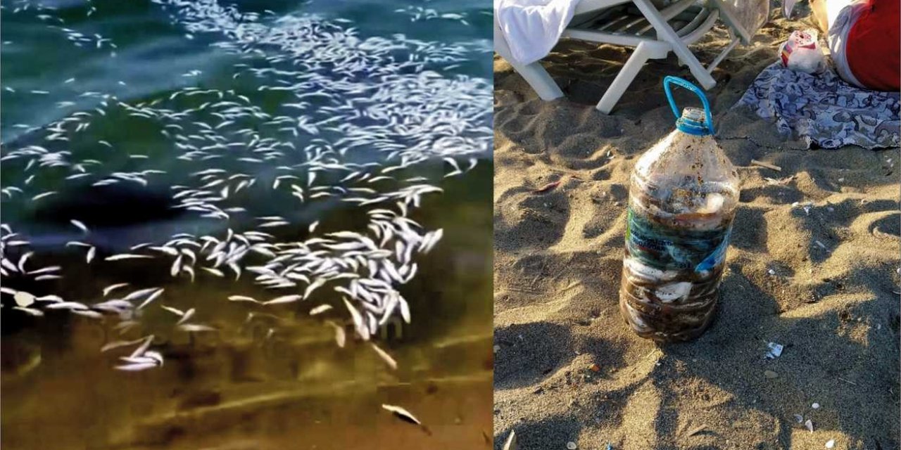 Yakalanacaklarını anlayınca tonlarca yavru mezgiti döküp kaçtılar