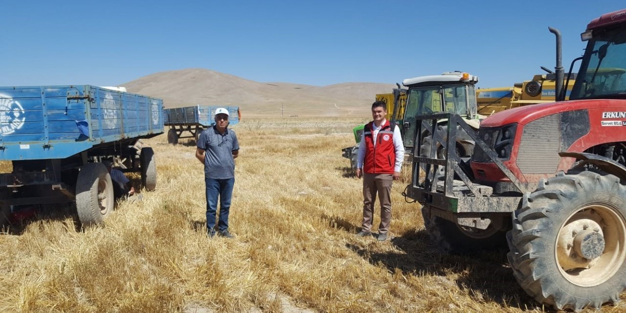 Biçerdöverler dane kaybına karşı kontrol ediliyor