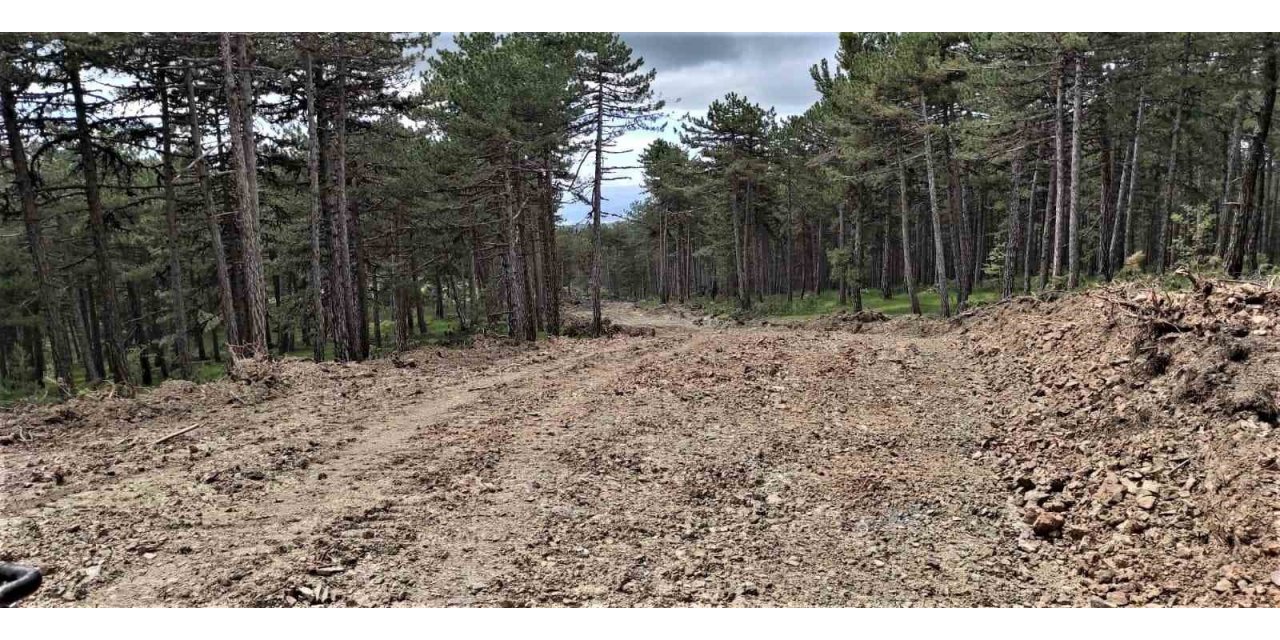 Kütahya’da yangınlarıyla mücadelede yeni savunma hatları oluşturuluyor