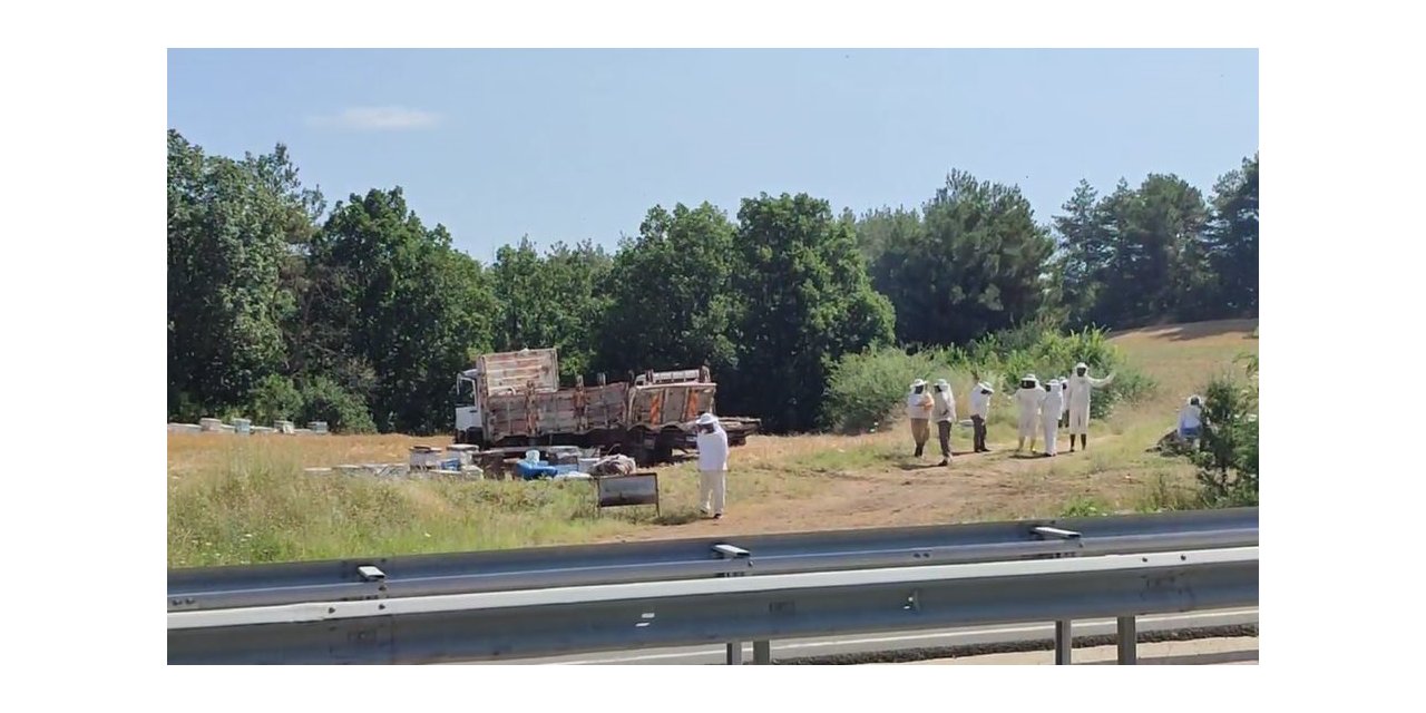 Ekipler 4 ölümlü kazaya arıcı kıyafeti giyerek müdahale etti