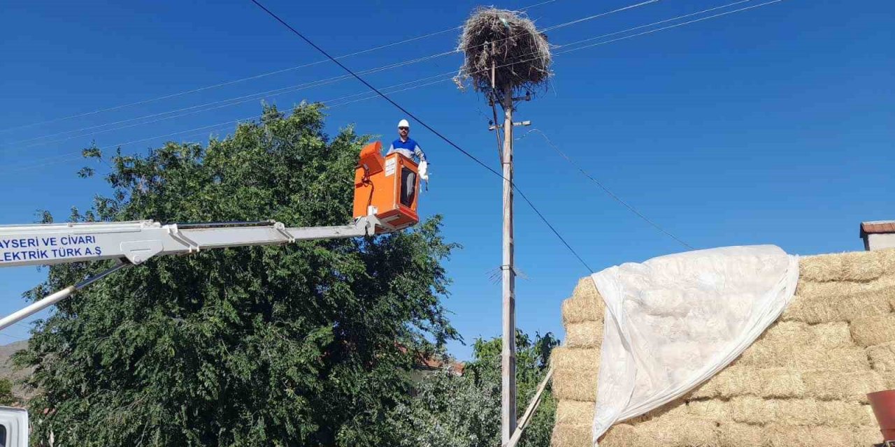 Ayağına ip bağlanan yavru leylek kurtarıldı